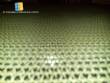 Chocolate enrobing machine for 800 mm