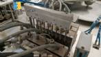 Sarong SAAS model blister forming and sealing machine for suppositories.