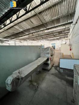 Otto Haensel flow pack packaging machine