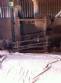 Rice processing machine Zaccaria