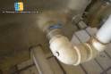 System and pasteurization Equilati