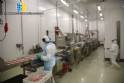 Linha completa para empanados nuggets, bife, tirinhas, hambrguer 500 kg CFS FMC Chiachiera