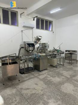 Packaging, counting and capping line for capsules and other products