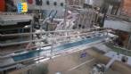 Linear 4 nozzle filling machine Erli