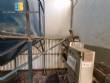 Extruder line to make soybean meal and vegetable oil