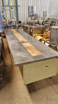 Conveyor belt with stainless steel side table