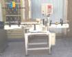 Automatic self adhesive labeling machine ProLabel