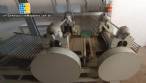 Continuous line of noodles 600 Kg / Indian hour