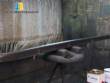 Dough Sheeter/Mold/Extruder