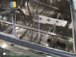 250 kg stainless steel ribbon blender