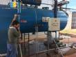 Dehydrator dryer leaves Bernauer