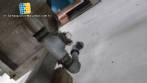 Ribbon Blender stainless steel 400 L