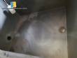 Incalfer double stage continuous stainless steel vegetable washer