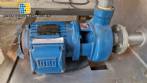 Incalfer double stage continuous stainless steel vegetable washer
