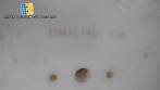 Rotary filling machine for glue in stainless steel Delgo
