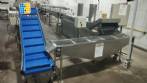 Line for manufacturing fried dough straws for filling Toshiro  Braslaer