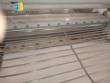 Pasta laminator 600 mm Granomaq