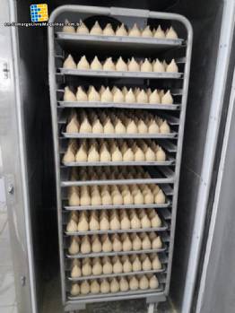 Ultra freezer Friomac