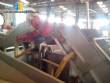 Automatic line of chips
