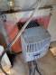 Extruder for pasta Hebleimar