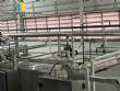 Complete line for manufacturing Forteusi spaghetti 2000 kg