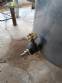 Stainless steel tank