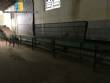 Onion cleaner and sorter Barana