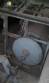 Industrial oven for biscuits