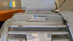 Nemo Netzsch 1 HP helical positive pump