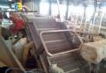 Line of chips for 250 kg
