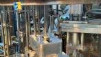Automatic rotary dosing and sealing filling machine for cups, jars, and bottles, Milainox MB-1