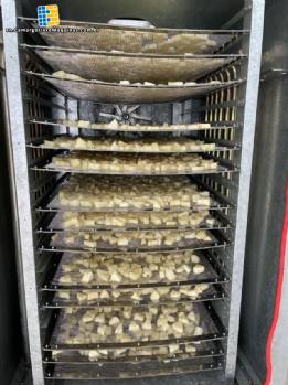 Line for dehydrating fruit