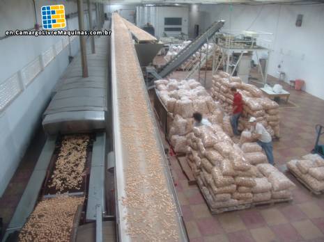 Automated line for production of cookies capacity 800 kg/h Automated line for production of cookies capacity 800 kg/h